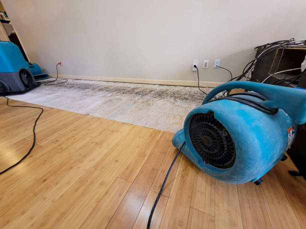 Professional Water Removal technician working in Bear, DE